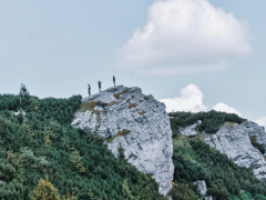 pexels-didsss-5407070