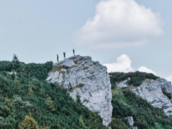 pexels-didsss-5407070