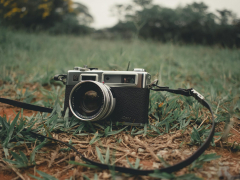 pexels-israelzin-3810546