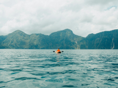 pexels-robertforevr-2611696