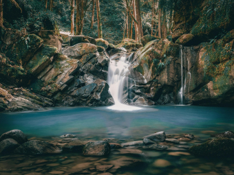 pexels-shahram-jahansooz-180917-5113153