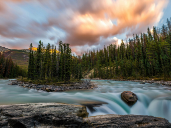 pexels-souvenirpixels-5361291